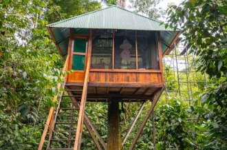 Treehouse lodge Peru