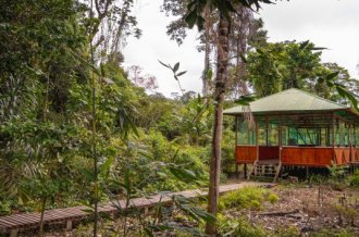 Peru Jungle Tours