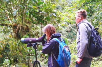 Peru Jungle Tours